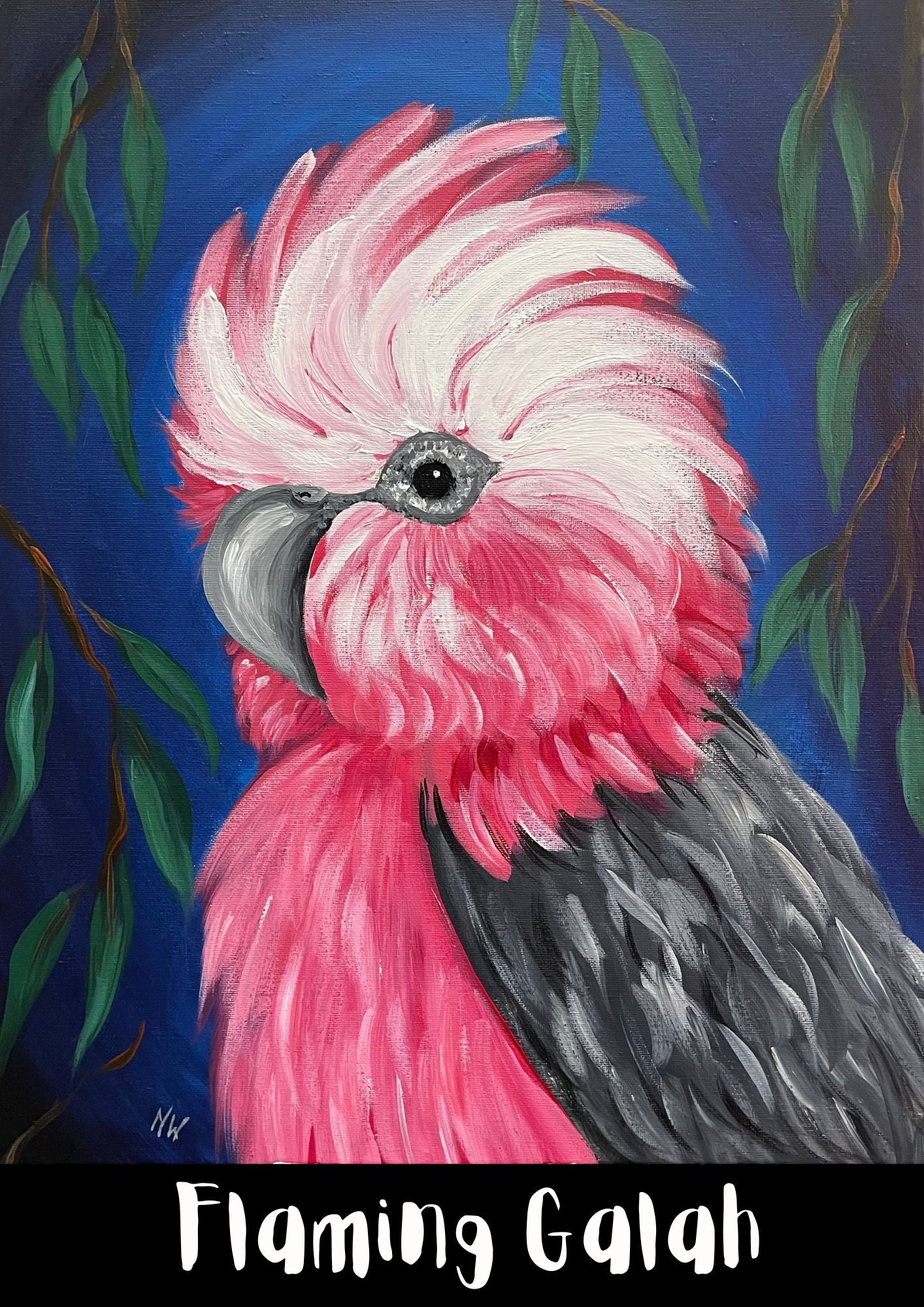 Friday - 10 April - 6.30pm - Flaming Galah