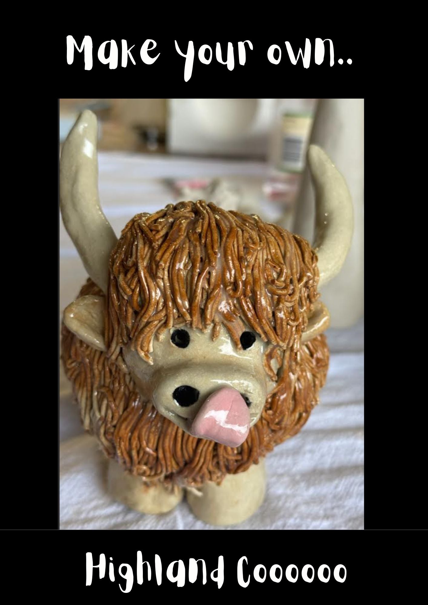 Highland Cow