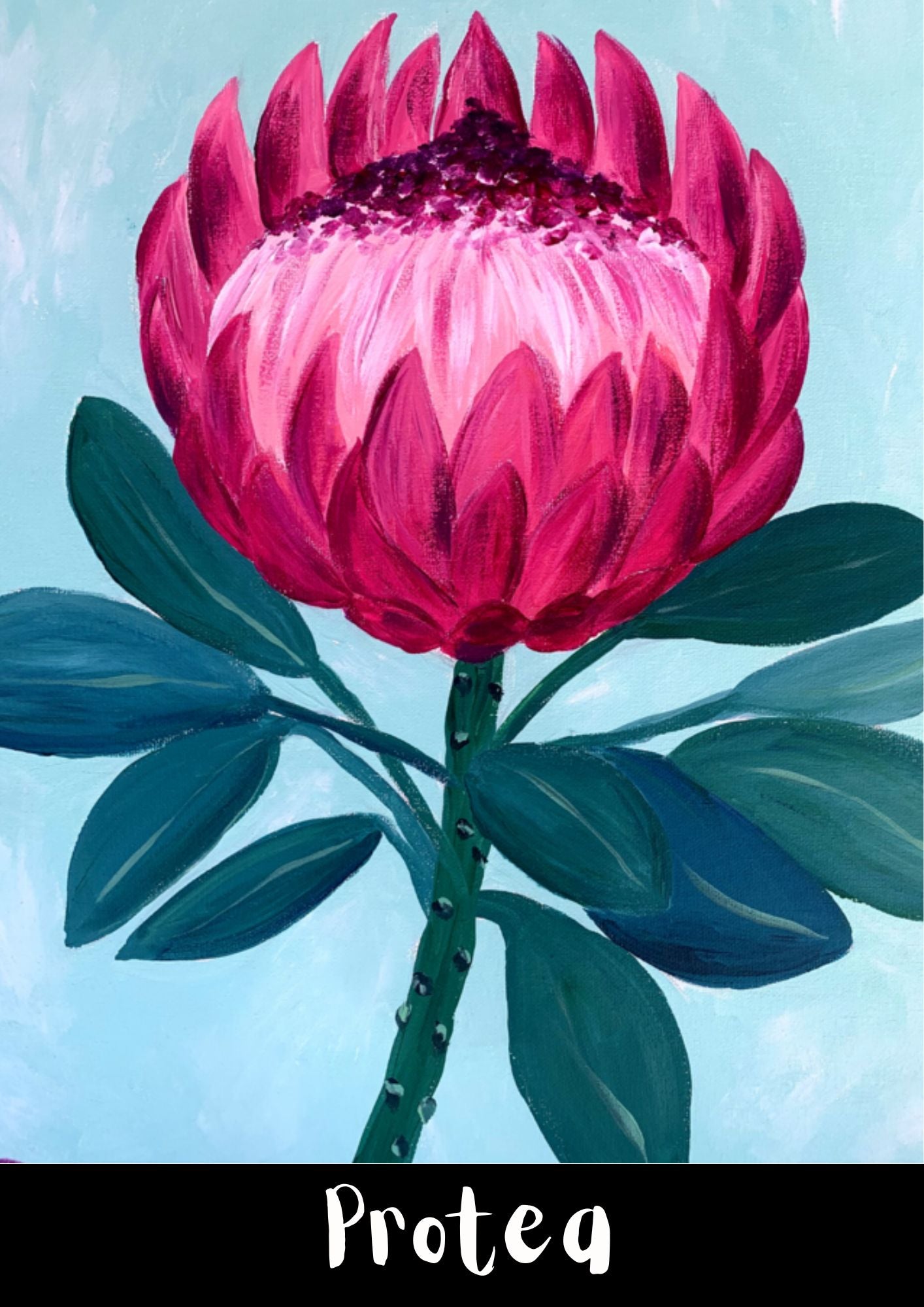 Saturday - 18 April - 3pm - Protea