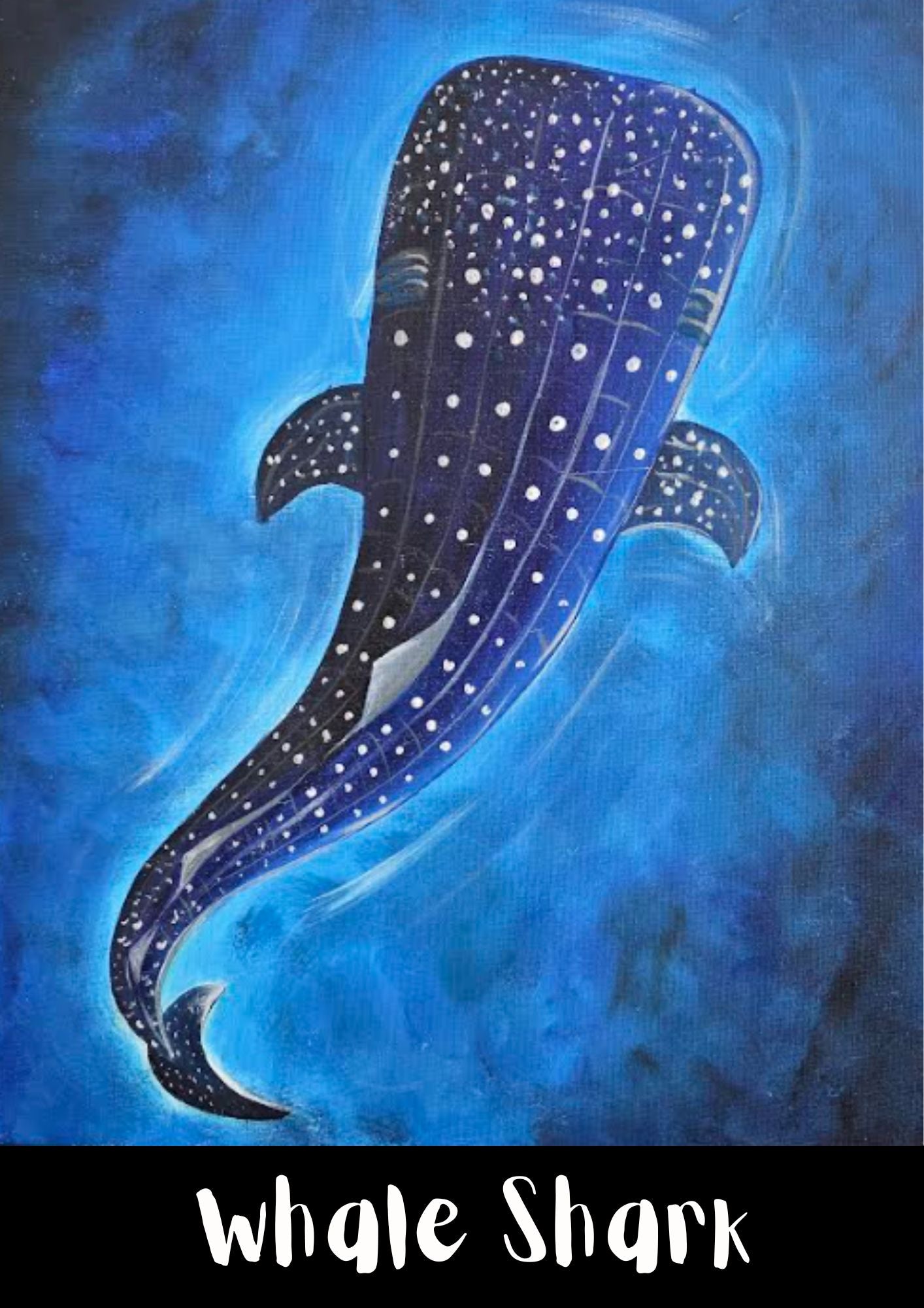 Friday - 7 August - 5.30pm - Early Bird Session - Whale Shark - all ages
